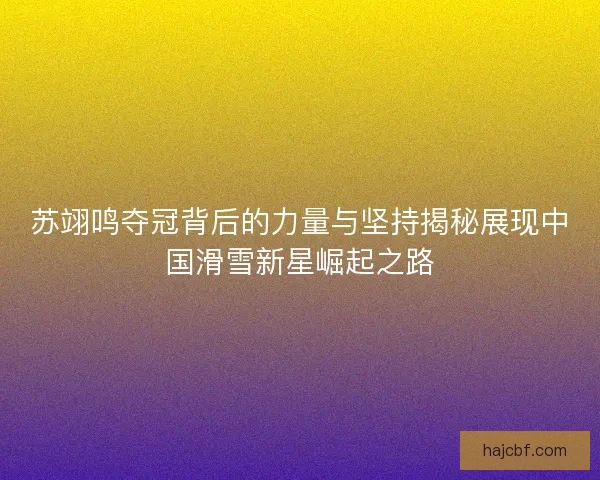 苏翊鸣夺冠背后的力量与坚持揭秘展现中国滑雪新星崛起之路